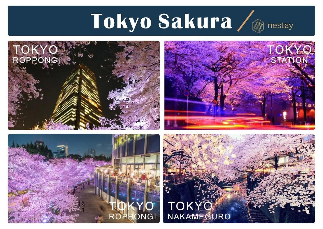 Апартаменты Nestay Inn Tokyo Otsuka 303 Япония