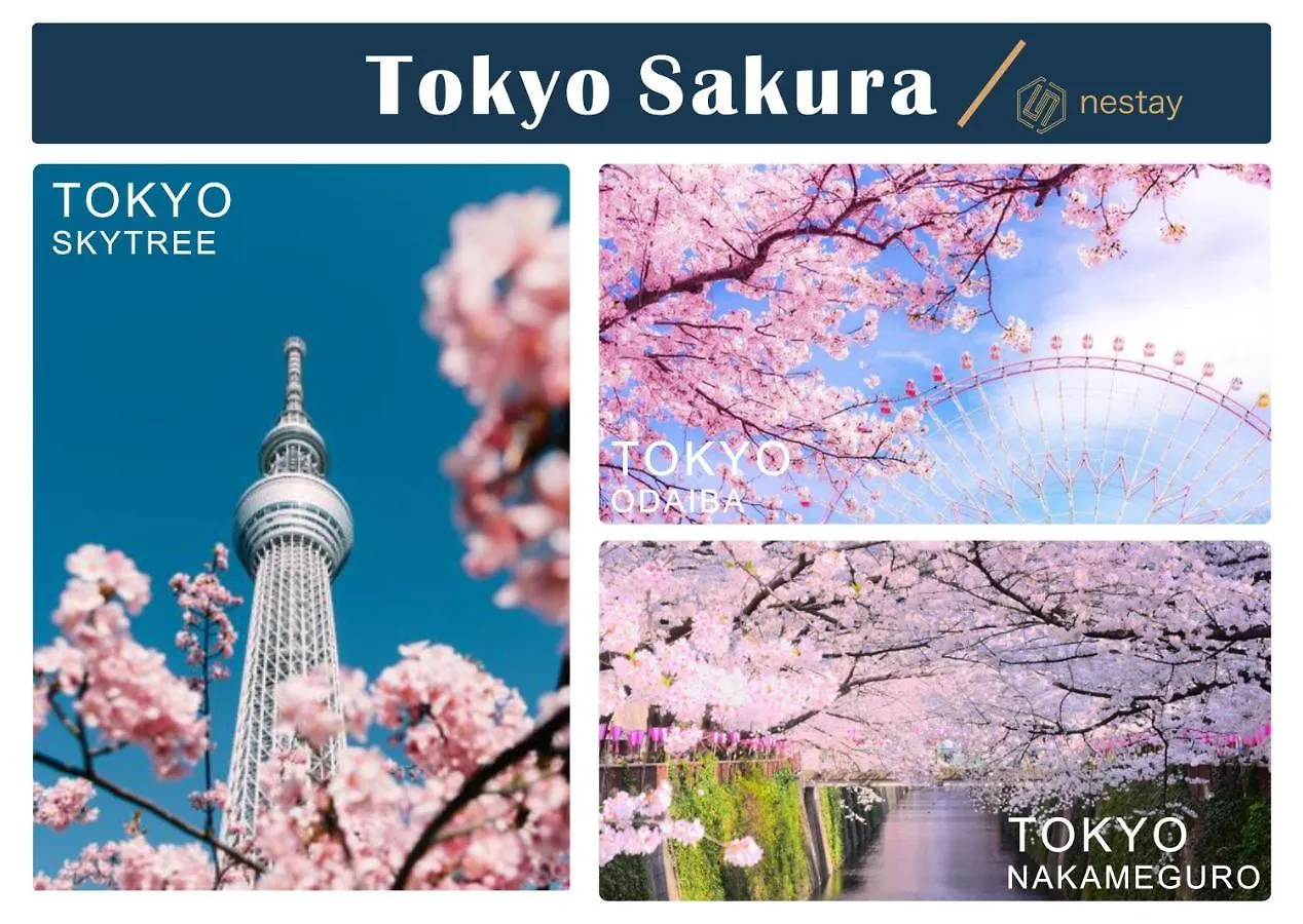 Nestay Inn Tokyo Otsuka 303